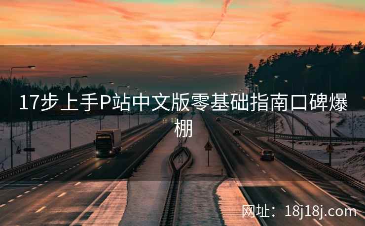 17步上手P站中文版零基础指南口碑爆棚