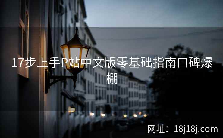 17步上手P站中文版零基础指南口碑爆棚