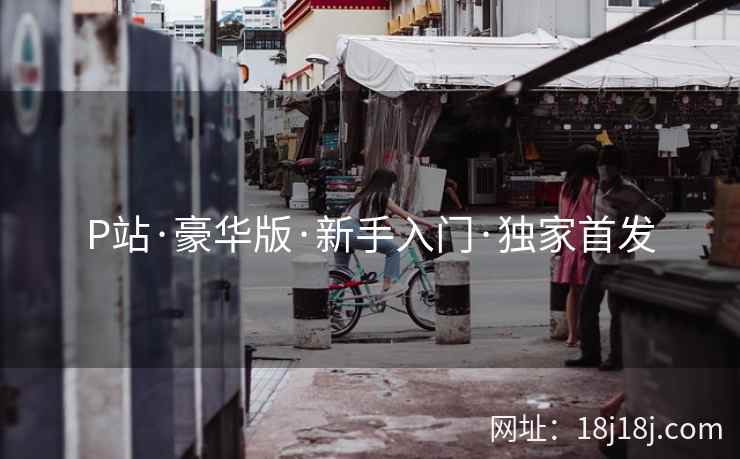 P站·豪华版·新手入门·独家首发