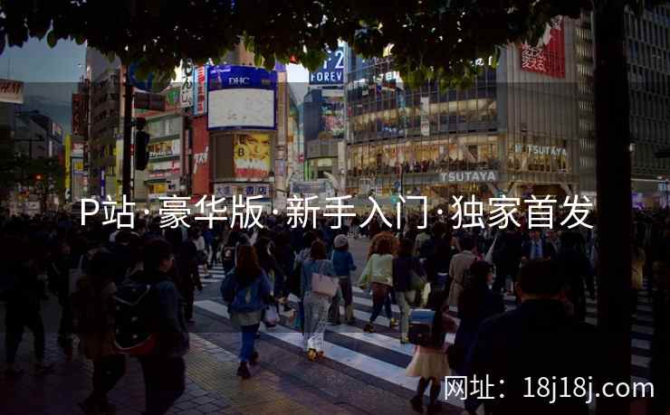 P站·豪华版·新手入门·独家首发