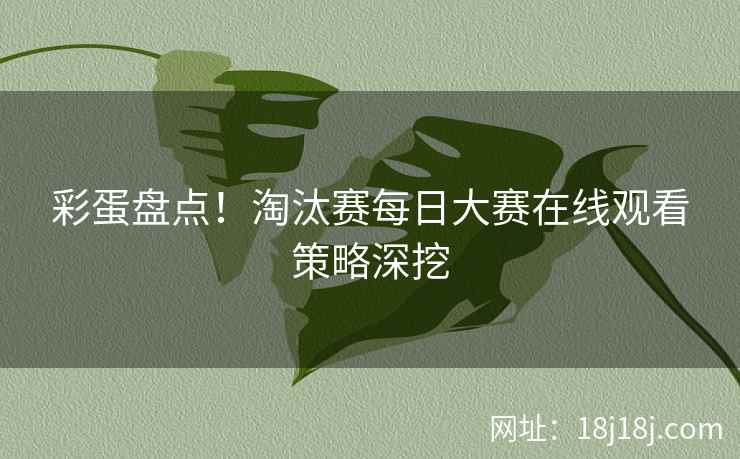 彩蛋盘点！淘汰赛每日大赛在线观看策略深挖