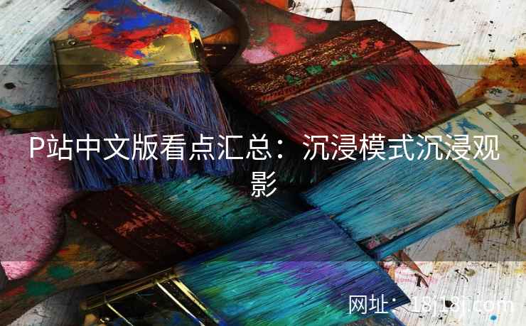 P站中文版看点汇总：沉浸模式沉浸观影