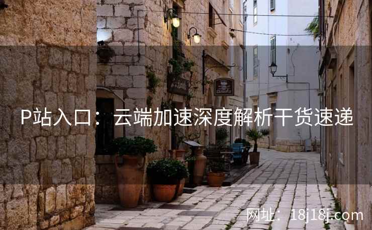 P站入口:云端加速深度解析干货速递