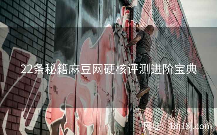 22条秘籍麻豆网硬核评测进阶宝典
