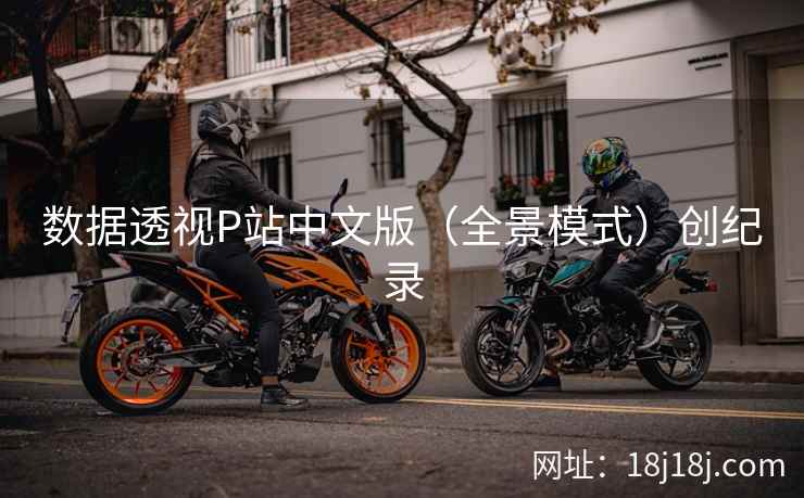 数据透视P站中文版（全景模式）创纪录