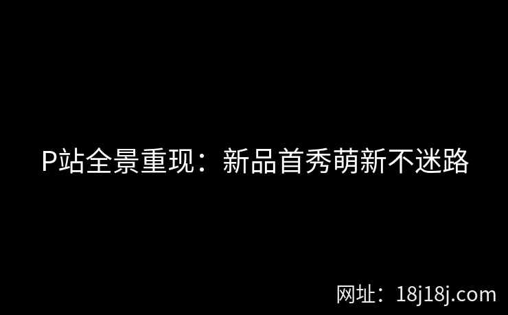 P站全景重现：新品首秀萌新不迷路