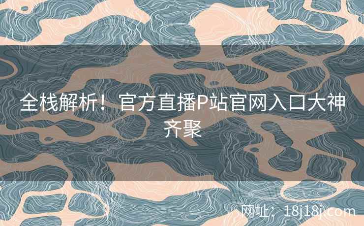 全栈解析！官方直播P站官网入口大神齐聚