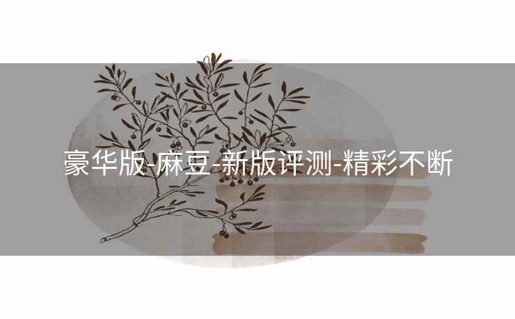 豪华版-麻豆-新版评测-精彩不断