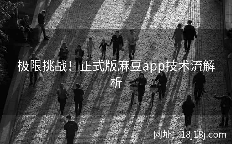 极限挑战!正式版麻豆app技术流解析 极限挑战!正式版麻豆app技术流解析