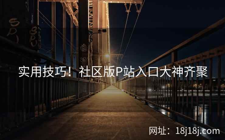 实用技巧！社区版P站入口大神齐聚