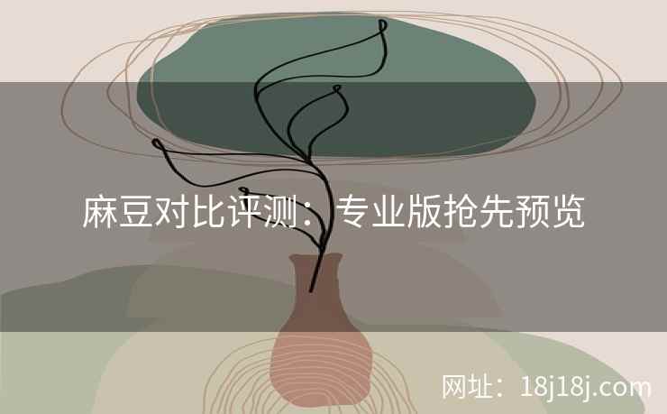 麻豆对比评测:专业版抢先预览 麻豆对比评测:专业版抢先预览