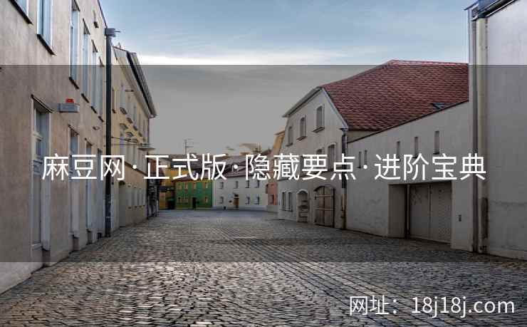 麻豆网·正式版·隐藏要点·进阶宝典 麻豆网·正式版·隐藏要点·进阶宝典