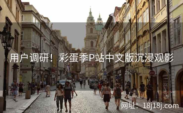 用户调研！彩蛋季P站中文版沉浸观影